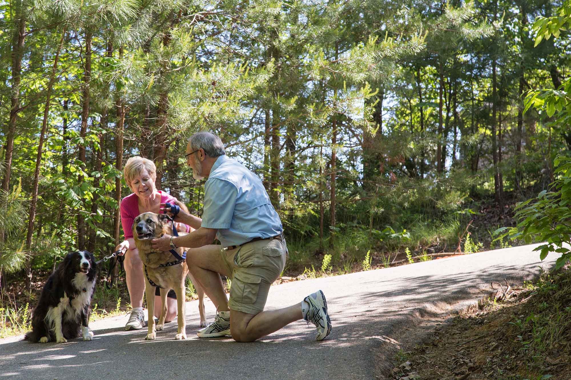 Walking Trail at Big Canoe