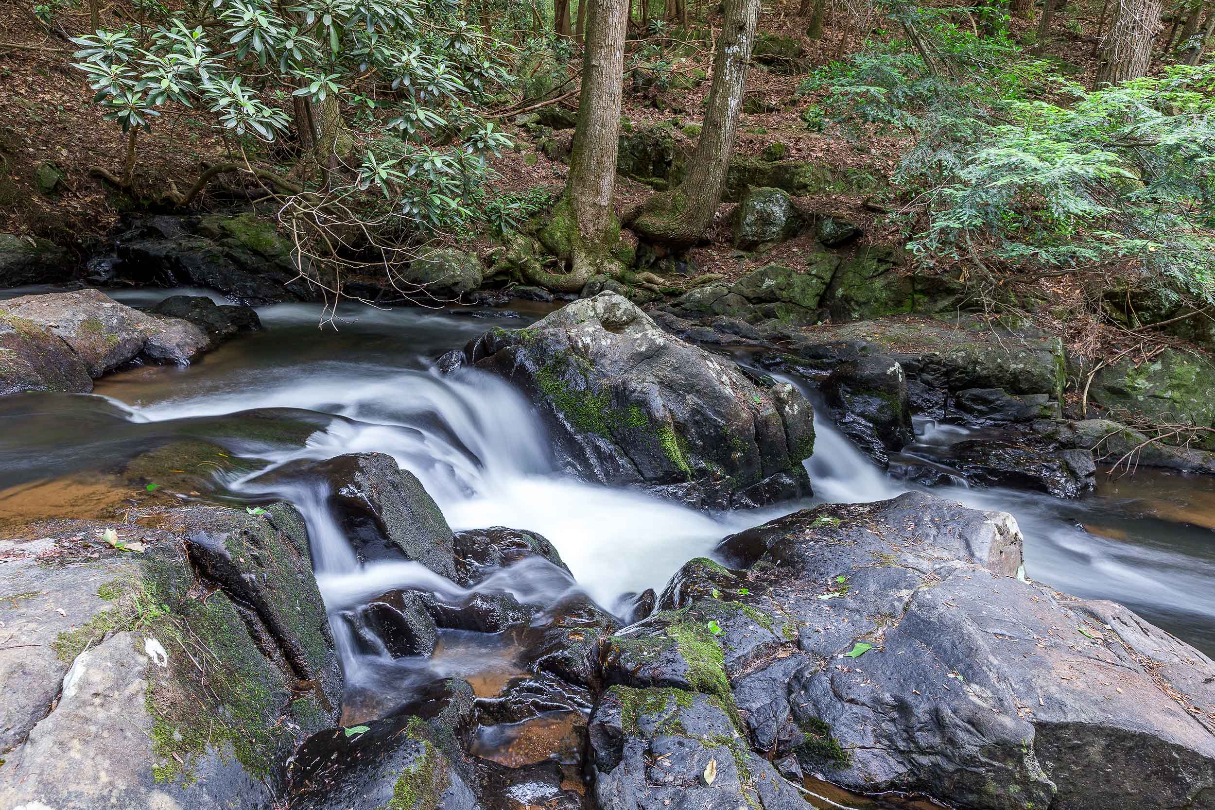 Meditation Park & Choctaw Trails at Big Canoe