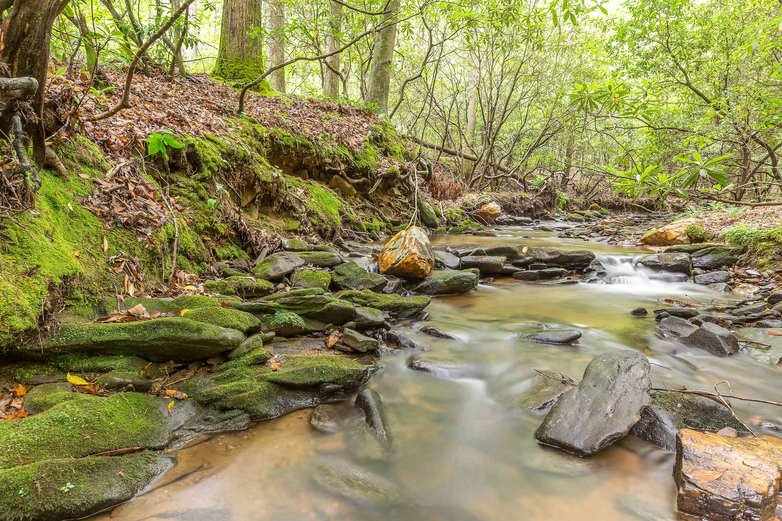 Waterfall on Big Canoe Trails