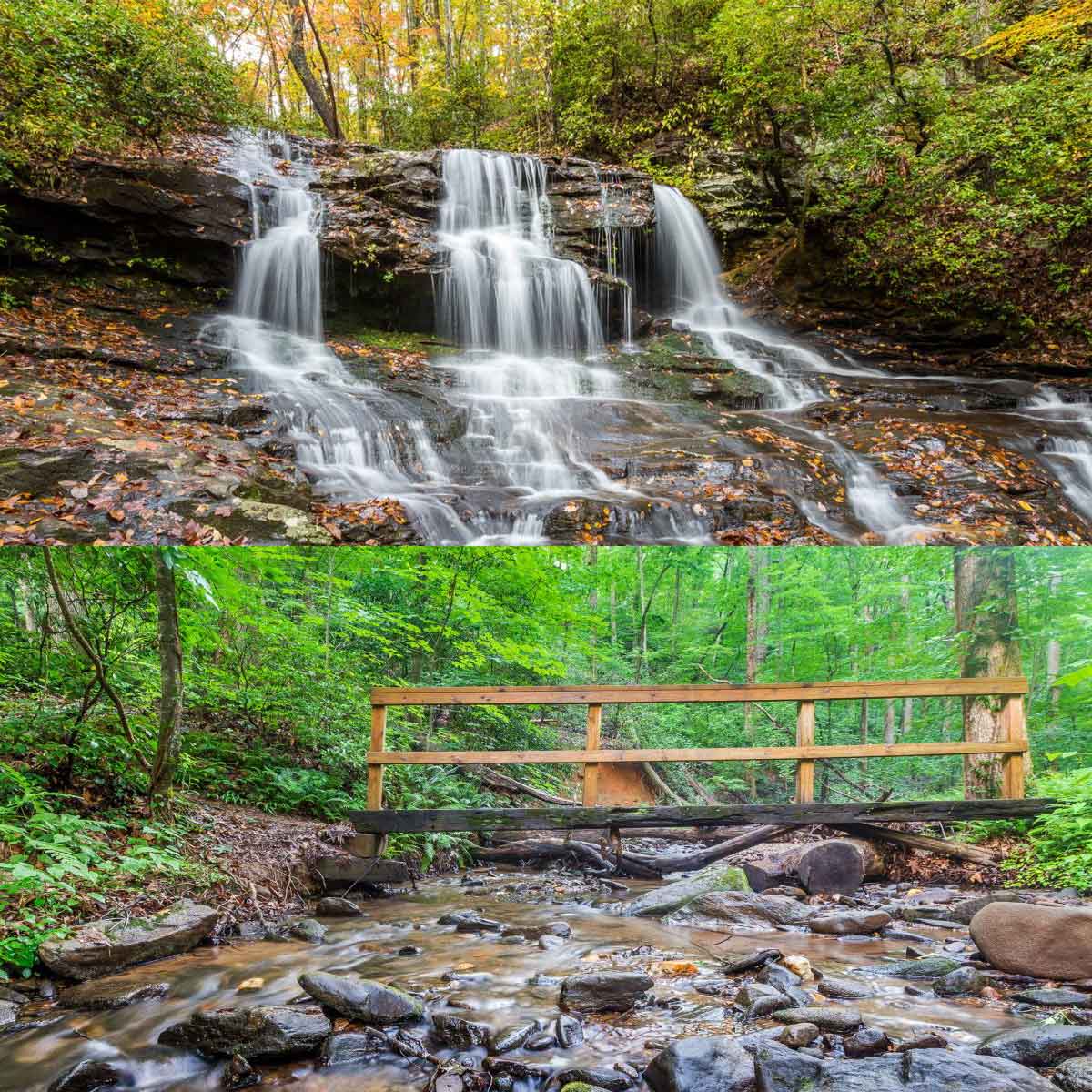 Lower Falls Trail - Big Canoe