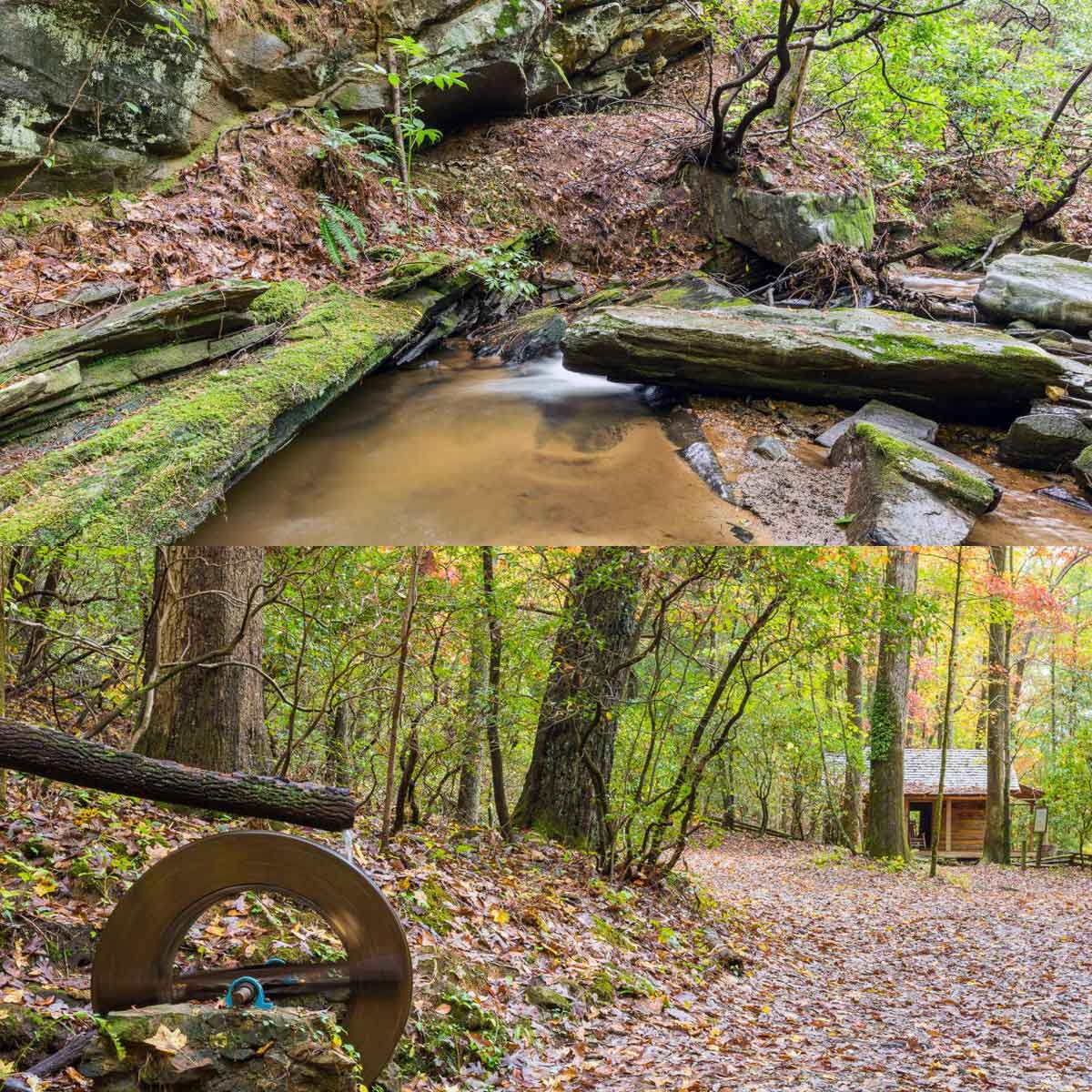 Old Cabin Trail Big Canoe