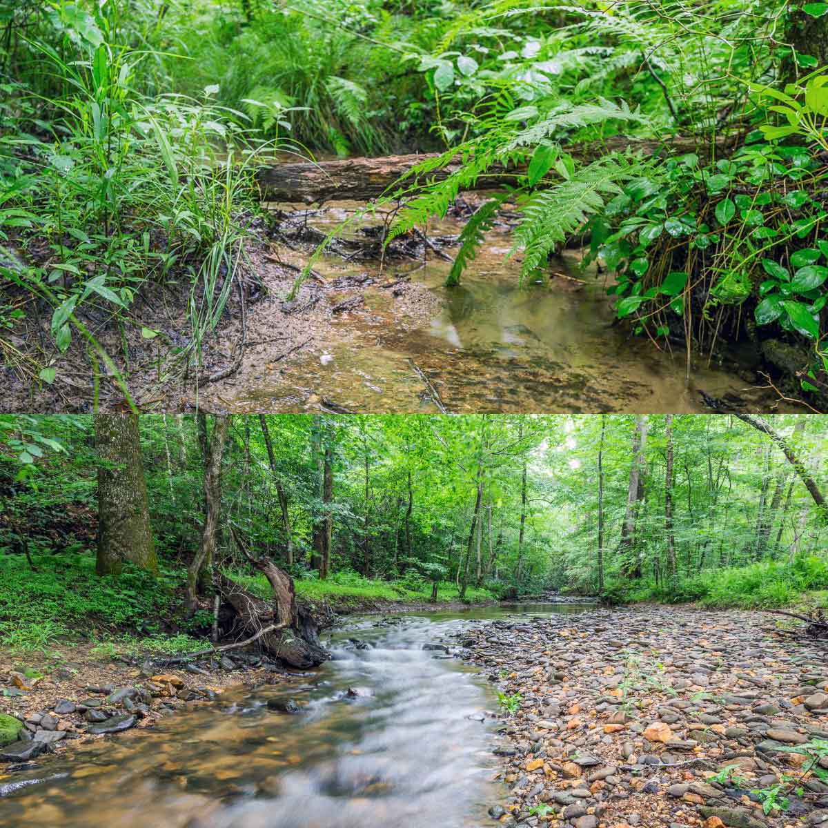 Nature Valley Hiking Trails at Big Canoe