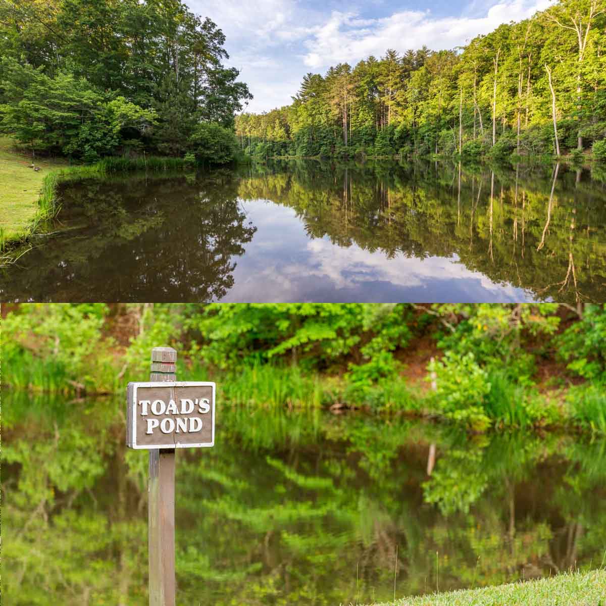 Toad's Pond Hiking Trails Big Canoe