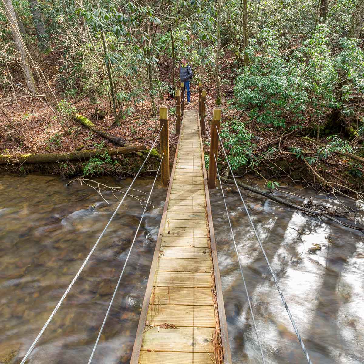 Hiking Big Canoe