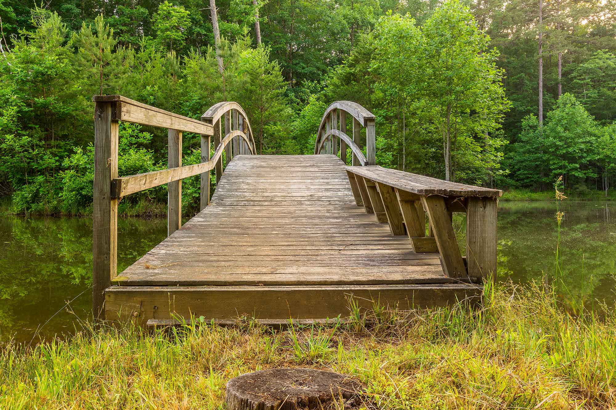 Big Canoe trails