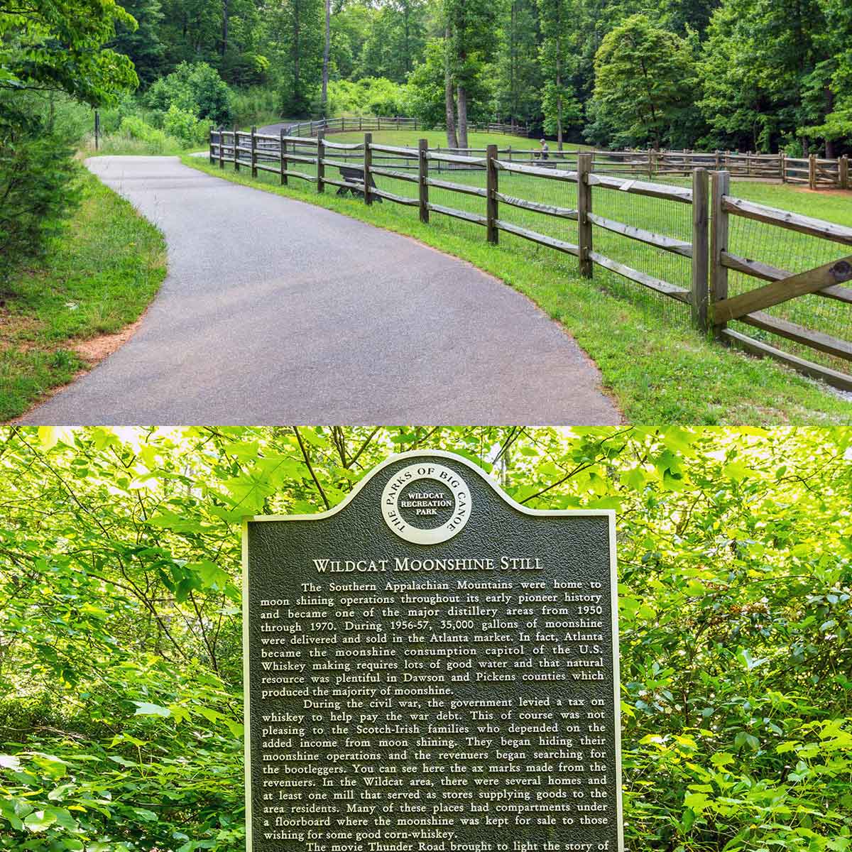 Wildcat Red Loop Hiking Trail at Big Canoe